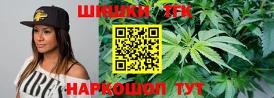 амф Бийск