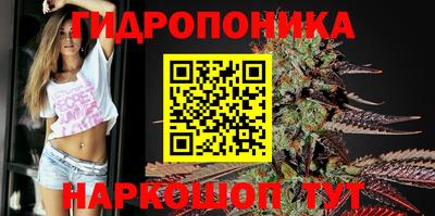 тгк Берёзовский