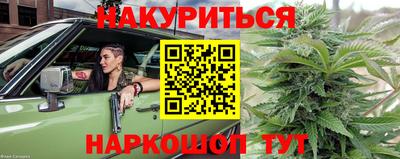амф Бийск