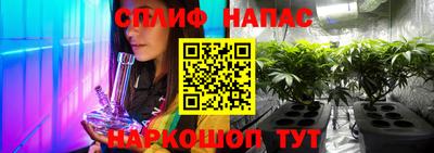 шишки Беслан