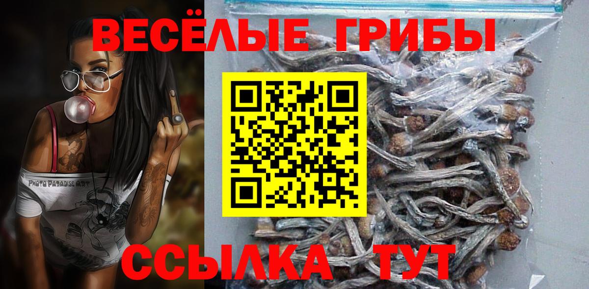 Галлюциногенные грибы MAGIC MUSHROOMS  Вход с VPN  закладки  Ишимбай 