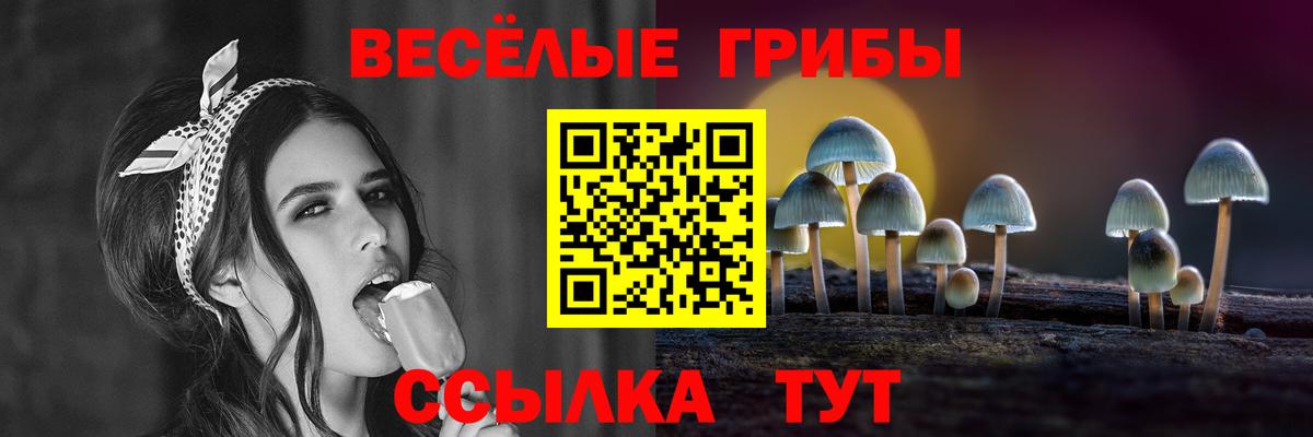 Псилоцибиновые грибы мицелий Ишимбай